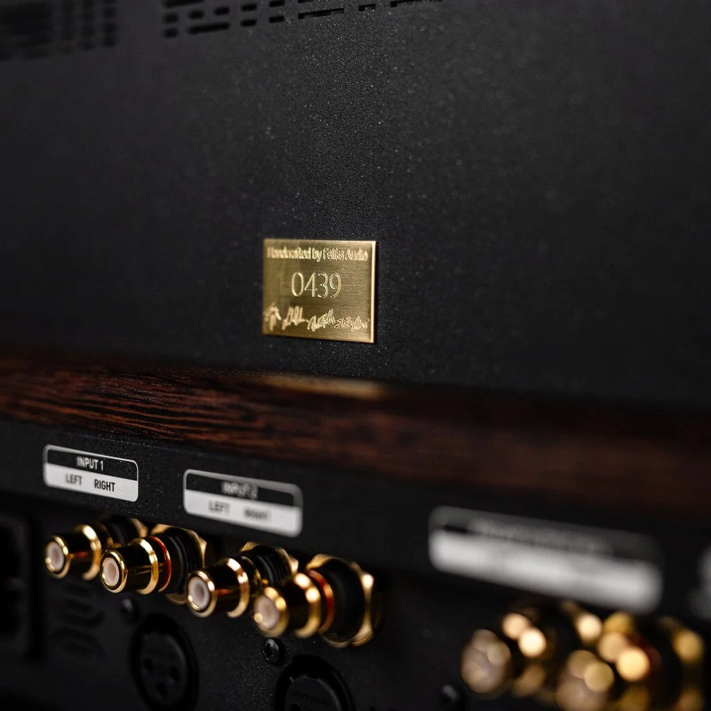 Feliks Audio Envy Susvara Edition - Image 7