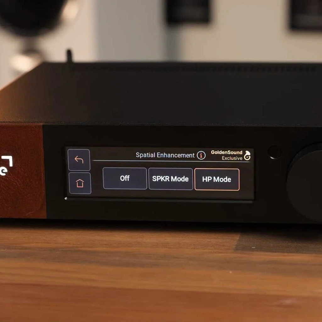 Ferrum WANDLA 2.0 DAC - GoldenSound Edition - Image 4