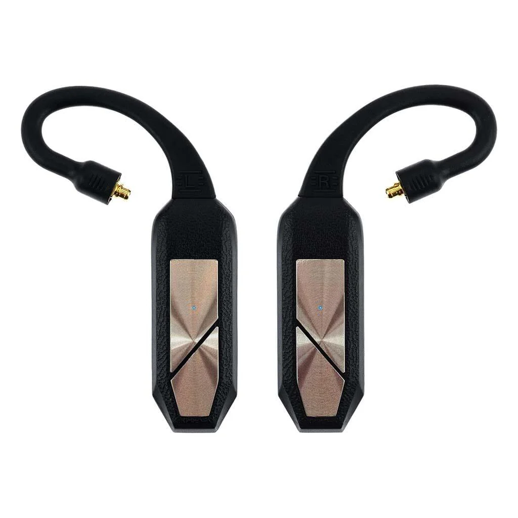 iFi Audio GO Pod